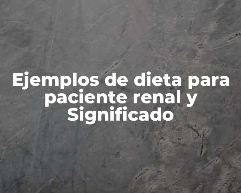 Ejemplos de dieta para paciente renal y Significado