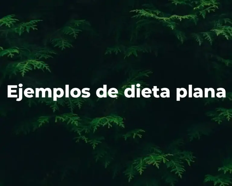 Ejemplos de dieta plana