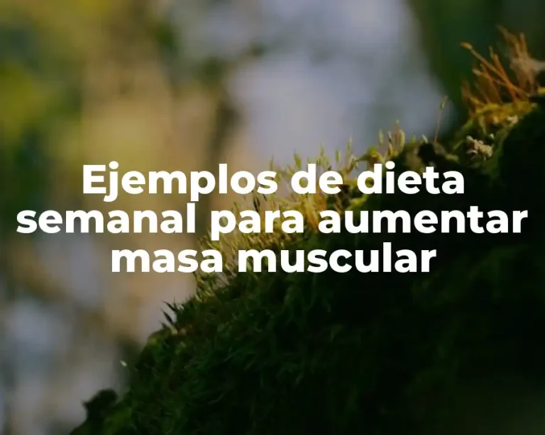 Ejemplos de dieta semanal para aumentar masa muscular