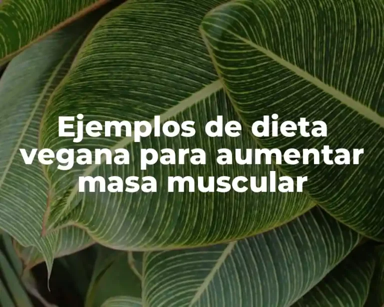 Ejemplos de dieta vegana para aumentar masa muscular