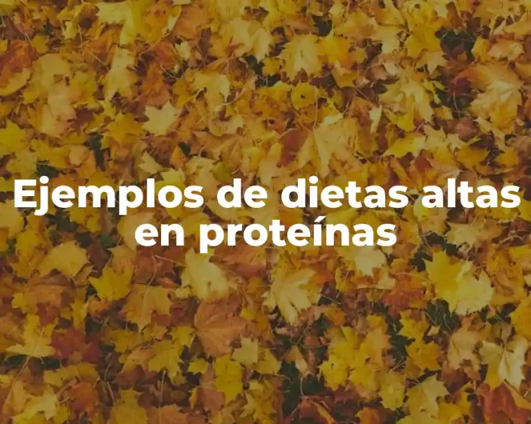 Ejemplos de dietas altas en proteínas