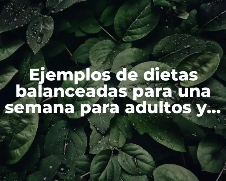 Ejemplos de dietas balanceadas para una semana para adultos y Significado
