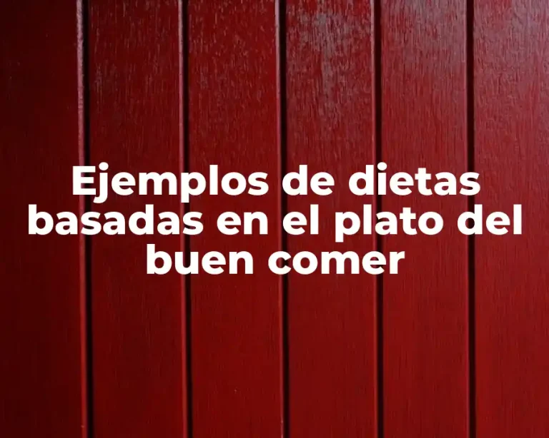 Ejemplos de dietas basadas en el plato del buen comer