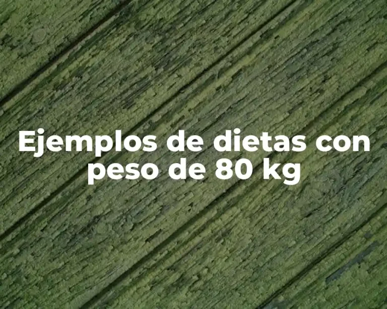 Ejemplos de dietas con peso de 80 kg