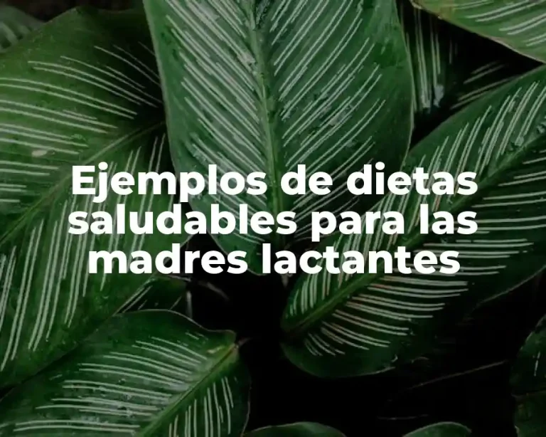 Ejemplos de dietas saludables para las madres lactantes