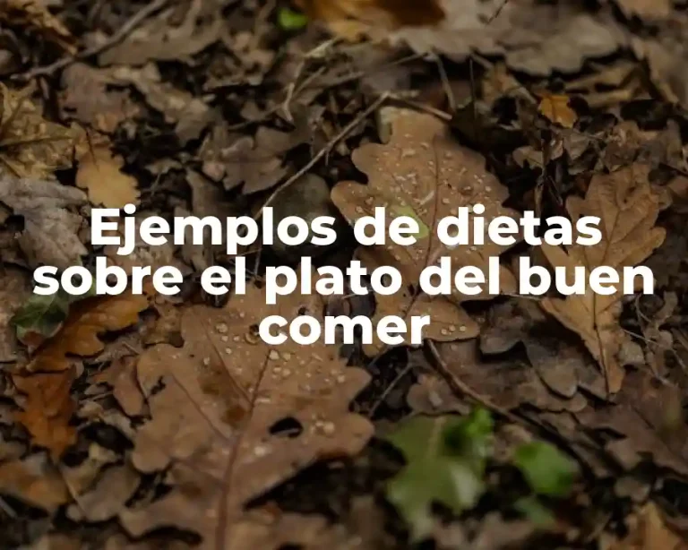 Ejemplos de dietas sobre el plato del buen comer