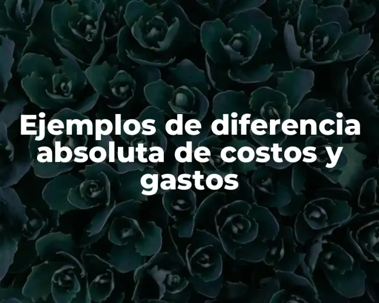 Ejemplos de diferencia absoluta de costos y gastos