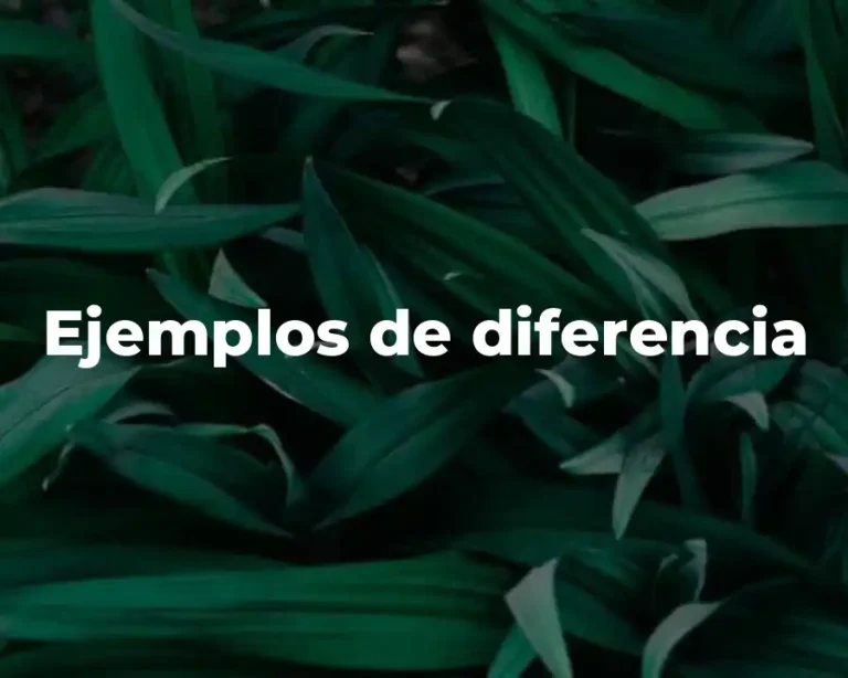 Ejemplos de diferencia