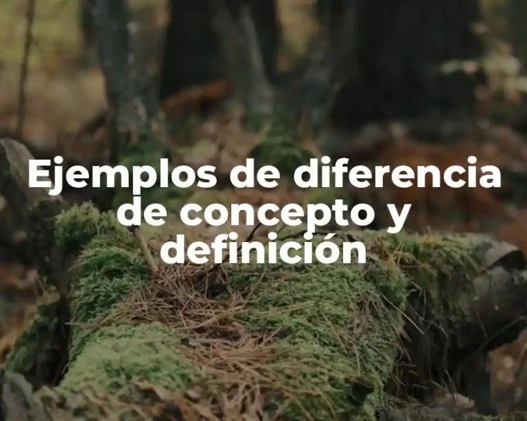 Ejemplos de diferencia de concepto y definición
