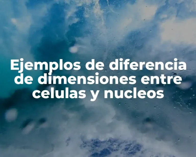 Ejemplos de diferencia de dimensiones entre celulas y nucleos