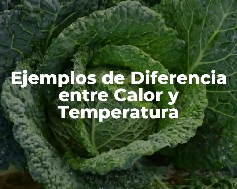 Ejemplos de Diferencia entre Calor y Temperatura