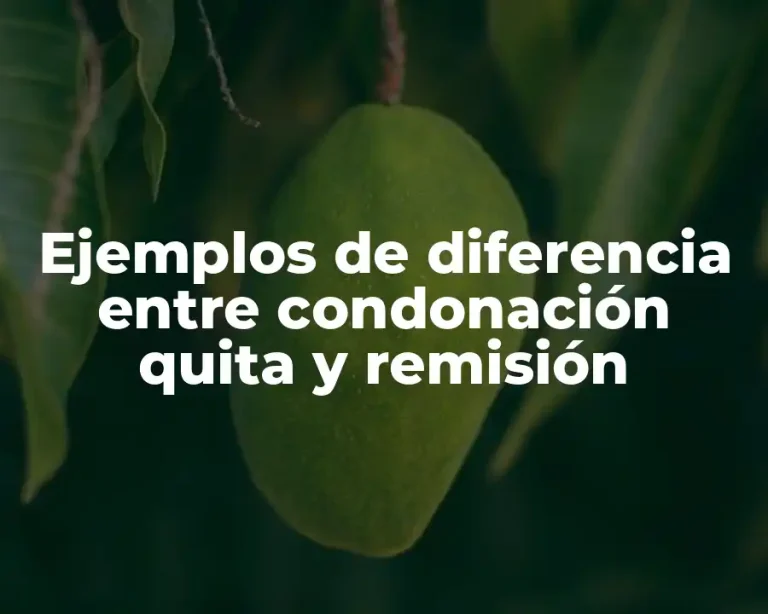 Ejemplos de diferencia entre condonación quita y remisión
