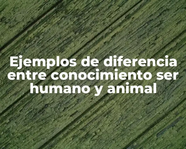 Ejemplos de diferencia entre conocimiento ser humano y animal