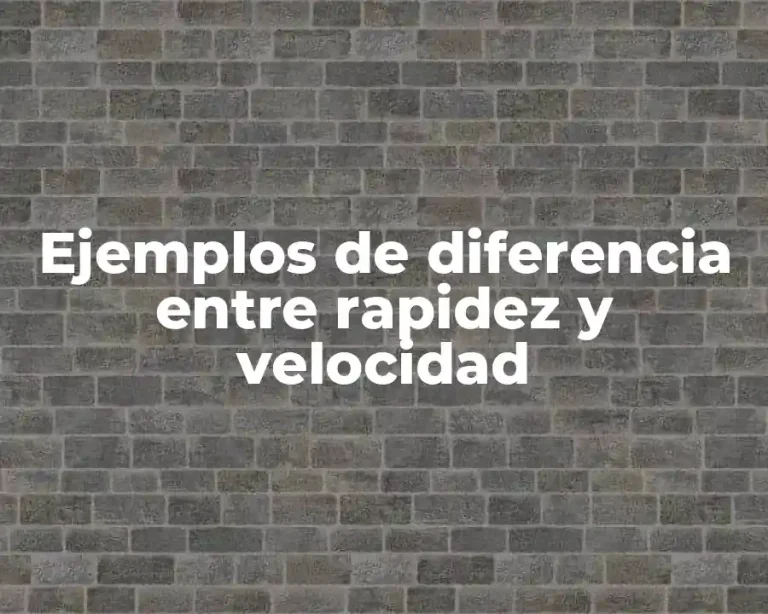 Ejemplos de diferencia entre rapidez y velocidad