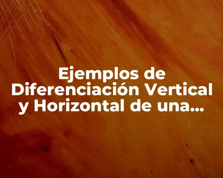 Ejemplos de Diferenciación Vertical y Horizontal de una Organización
