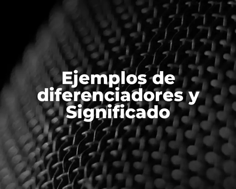 Ejemplos de diferenciadores y Significado