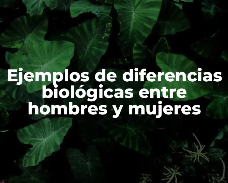 Ejemplos de diferencias biológicas entre hombres y mujeres