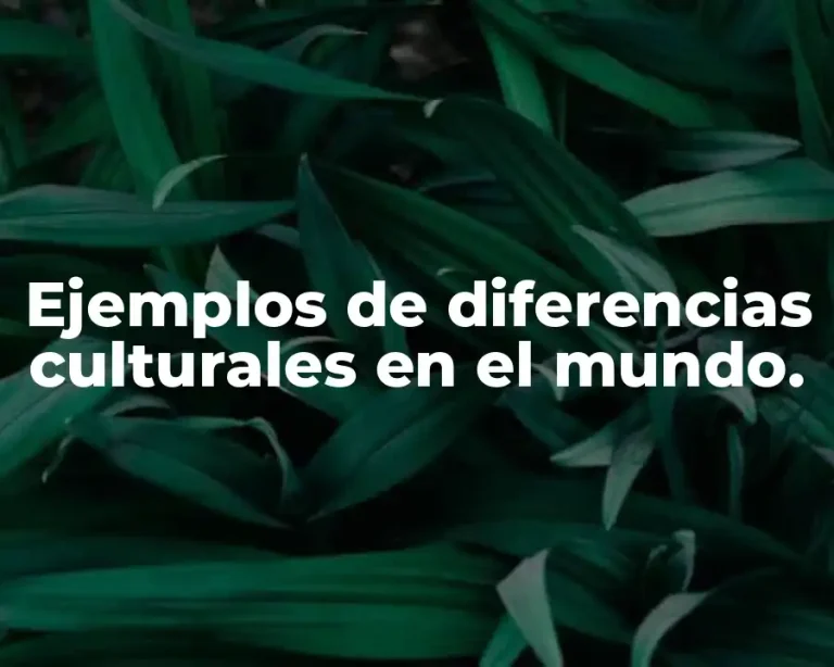 Ejemplos de diferencias culturales en el mundo.