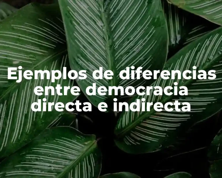 Ejemplos de diferencias entre democracia directa e indirecta