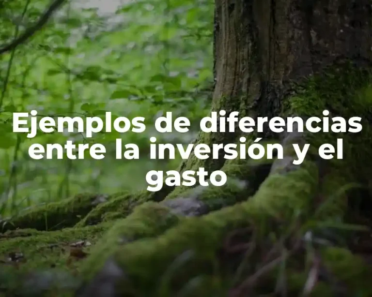 Ejemplos de diferencias entre la inversión y el gasto