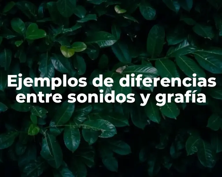 Ejemplos de diferencias entre sonidos y grafía