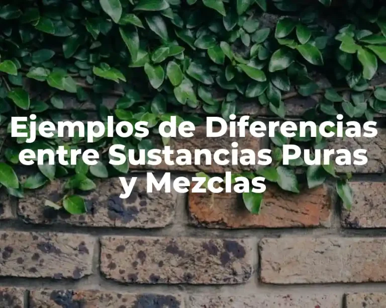 Ejemplos de Diferencias entre Sustancias Puras y Mezclas