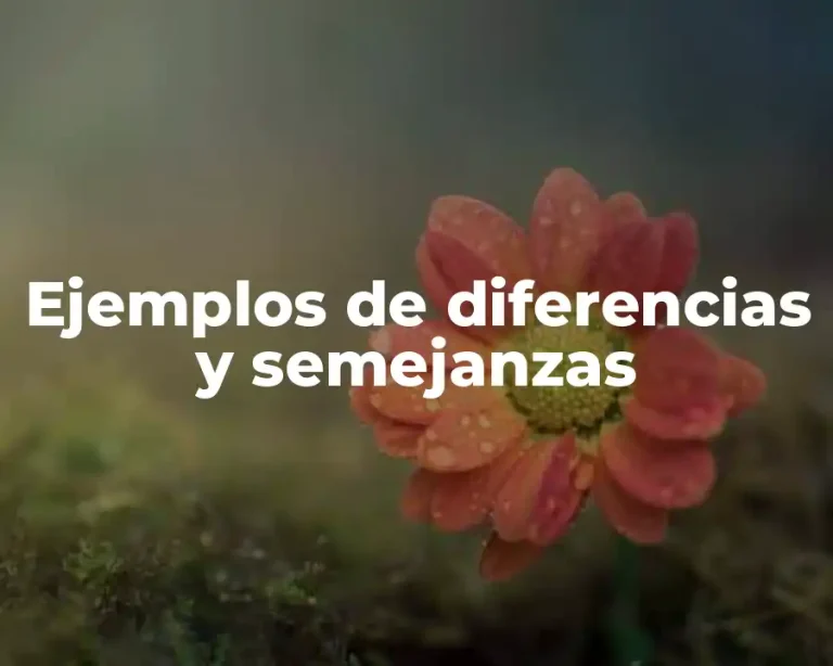 Ejemplos de diferencias y semejanzas