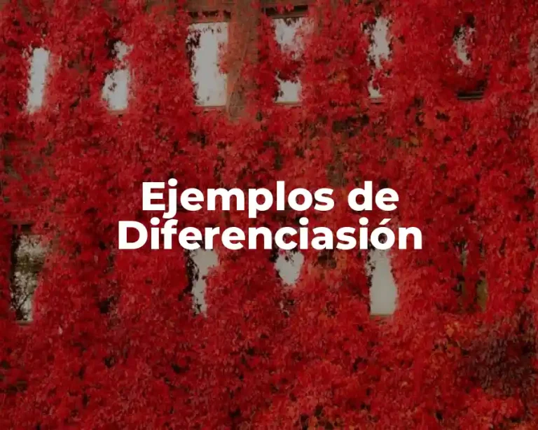 Ejemplos de Diferenciasión
