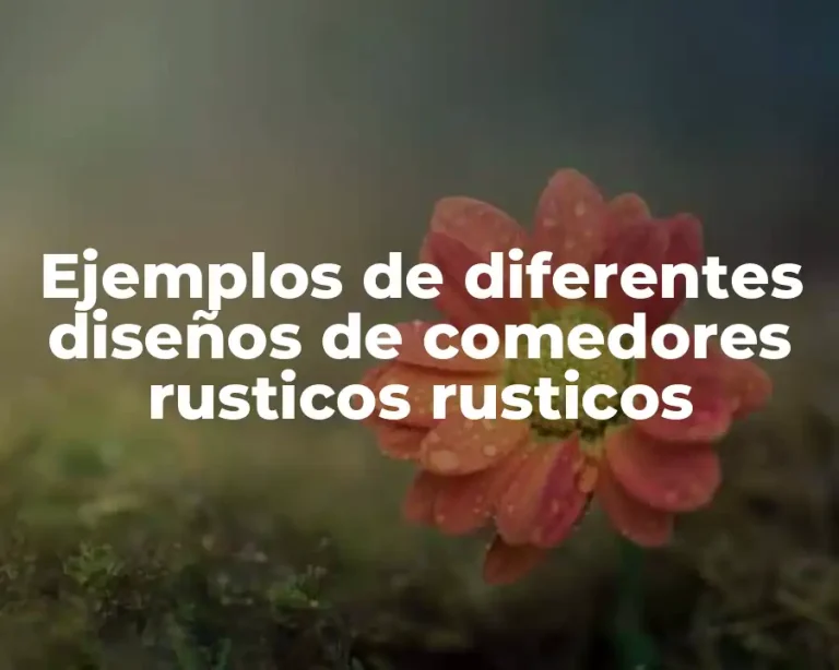 Ejemplos de diferentes diseños de comedores rusticos rusticos