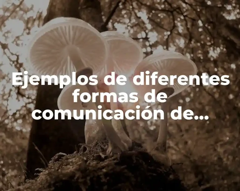 Ejemplos de diferentes formas de comunicación de lenguaje no verbal y Significado