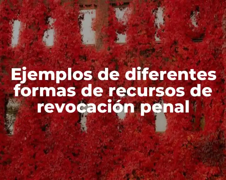 Ejemplos de diferentes formas de recursos de revocación penal