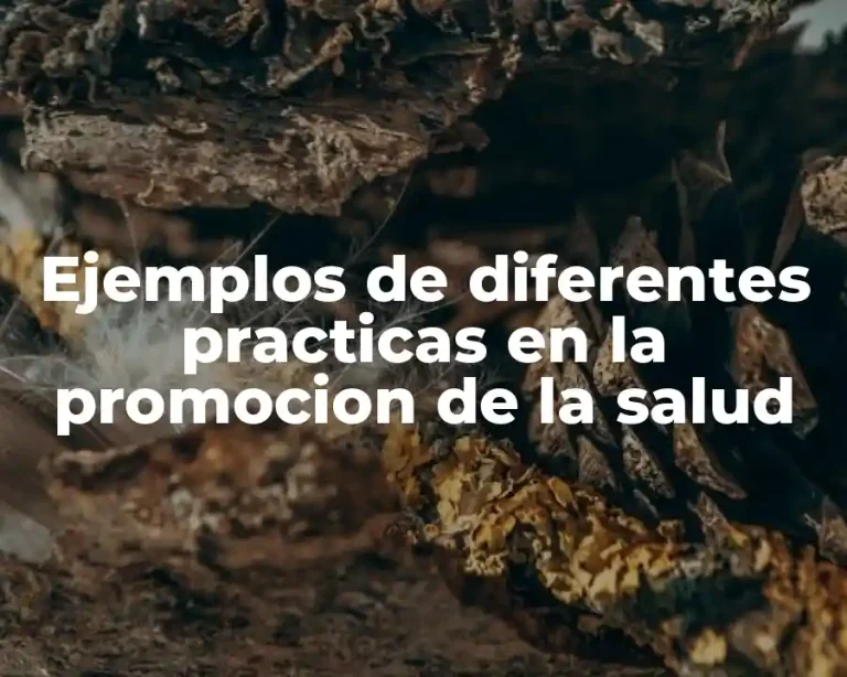 Ejemplos de diferentes practicas en la promocion de la salud