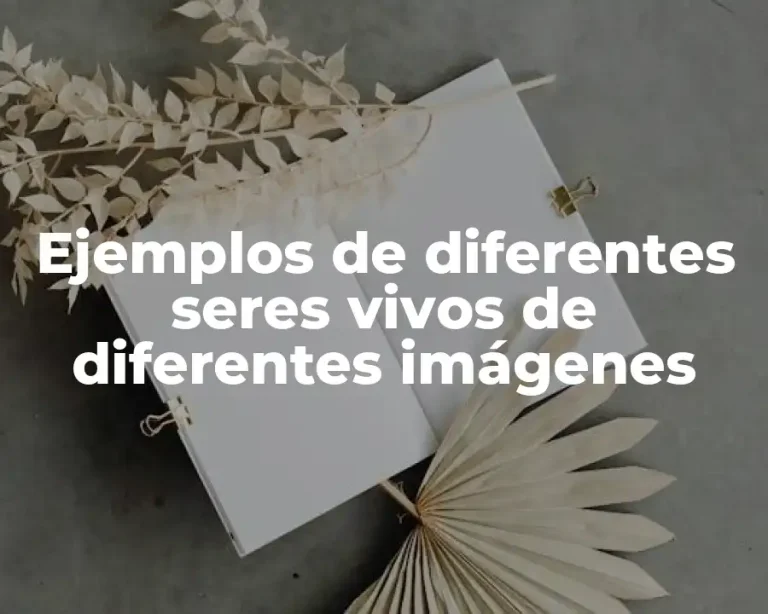 Ejemplos de diferentes seres vivos de diferentes imágenes