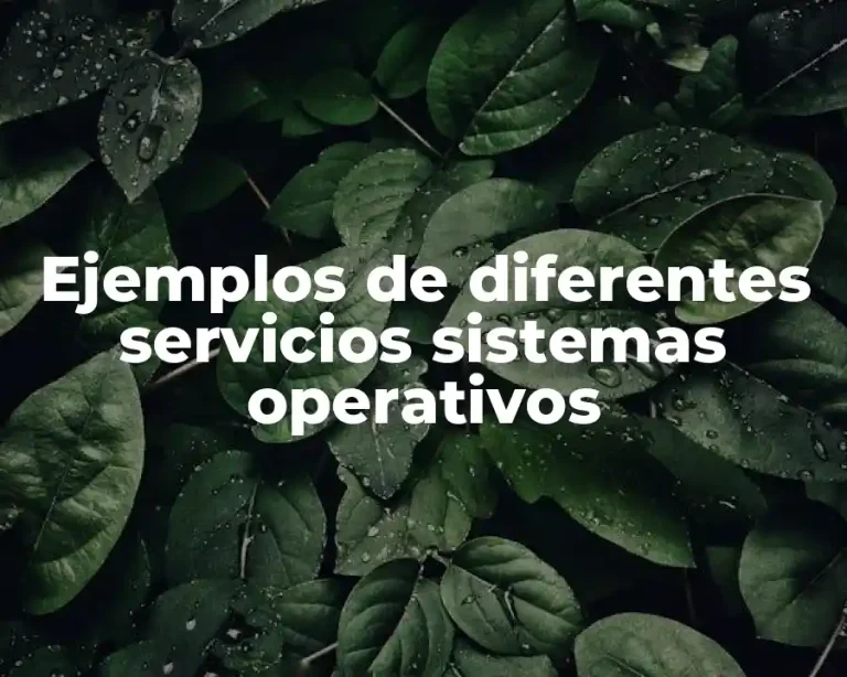 Ejemplos de diferentes servicios sistemas operativos