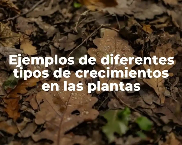 Ejemplos de diferentes tipos de crecimientos en las plantas