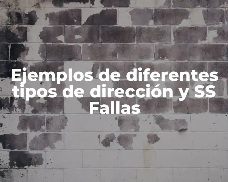 Ejemplos de diferentes tipos de dirección y SS Fallas