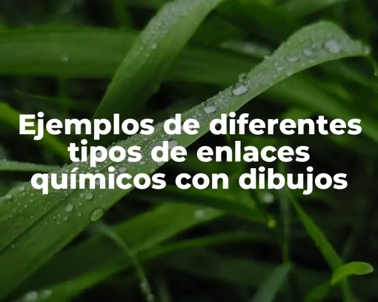 Ejemplos de diferentes tipos de enlaces químicos con dibujos