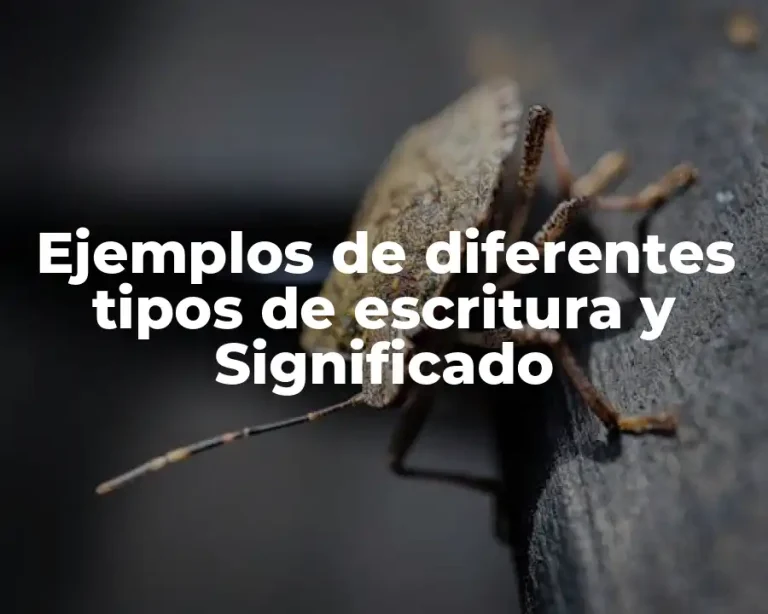 Ejemplos de diferentes tipos de escritura y Significado