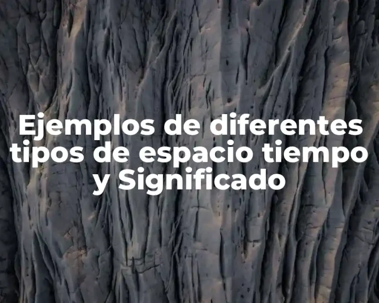 Ejemplos de diferentes tipos de espacio tiempo y Significado