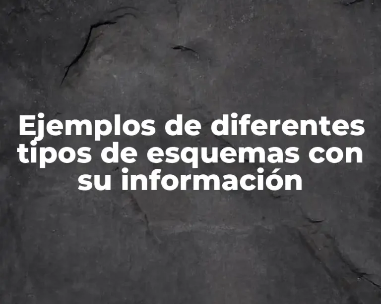 Ejemplos de diferentes tipos de esquemas con su información