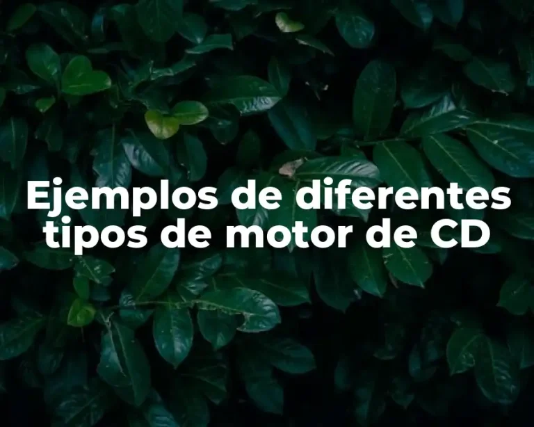 Ejemplos de diferentes tipos de motor de CD