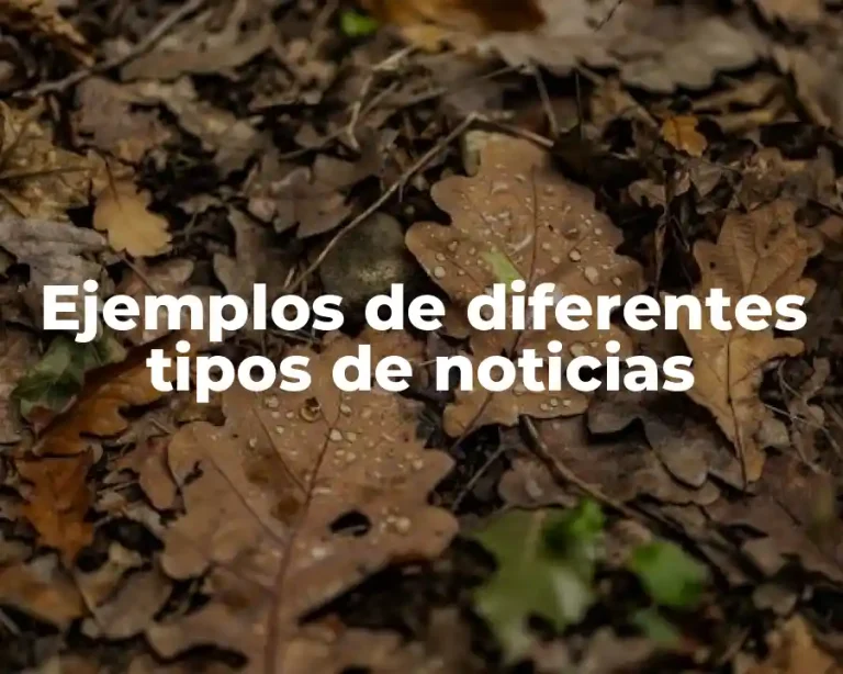 Ejemplos de diferentes tipos de noticias