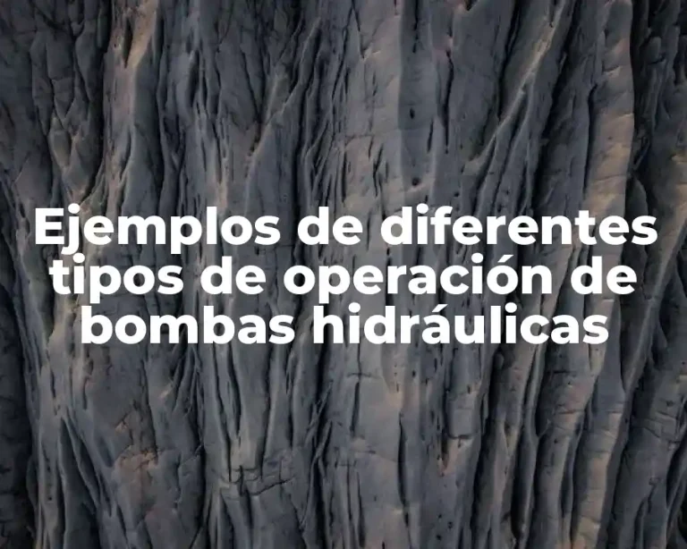 Ejemplos de diferentes tipos de operación de bombas hidráulicas