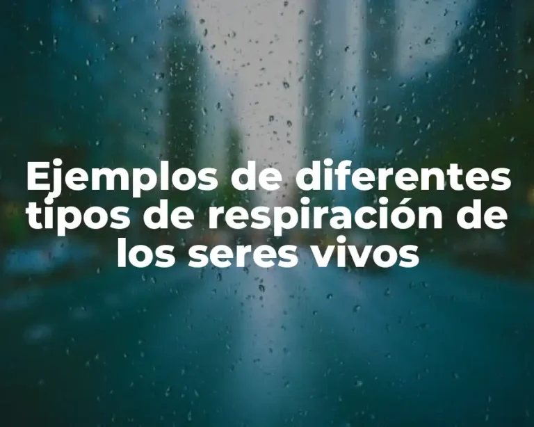 Ejemplos de diferentes tipos de respiración de los seres vivos