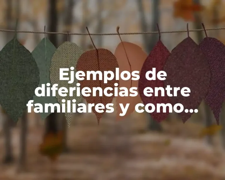Ejemplos de diferiencias entre familiares y como resolverlos