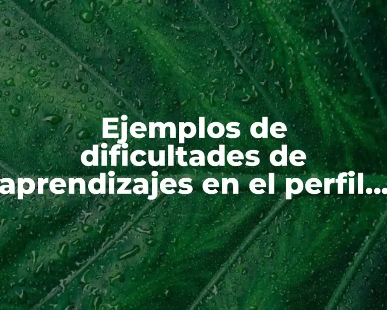 Ejemplos de dificultades de aprendizajes en el perfil de preescolar