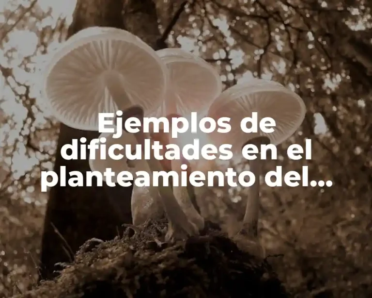 Ejemplos de dificultades en el planteamiento del problema