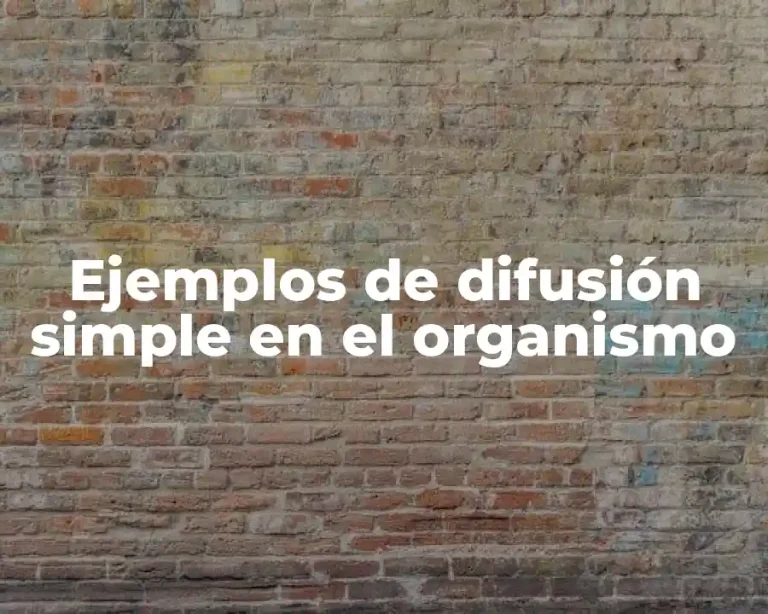 Ejemplos de difusión simple en el organismo