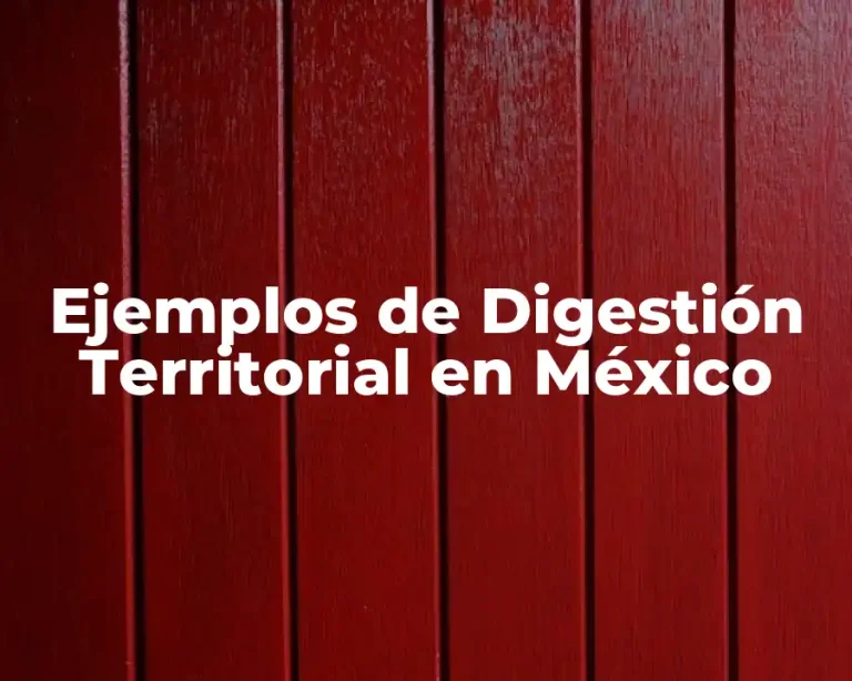 Ejemplos de Digestión Territorial en México