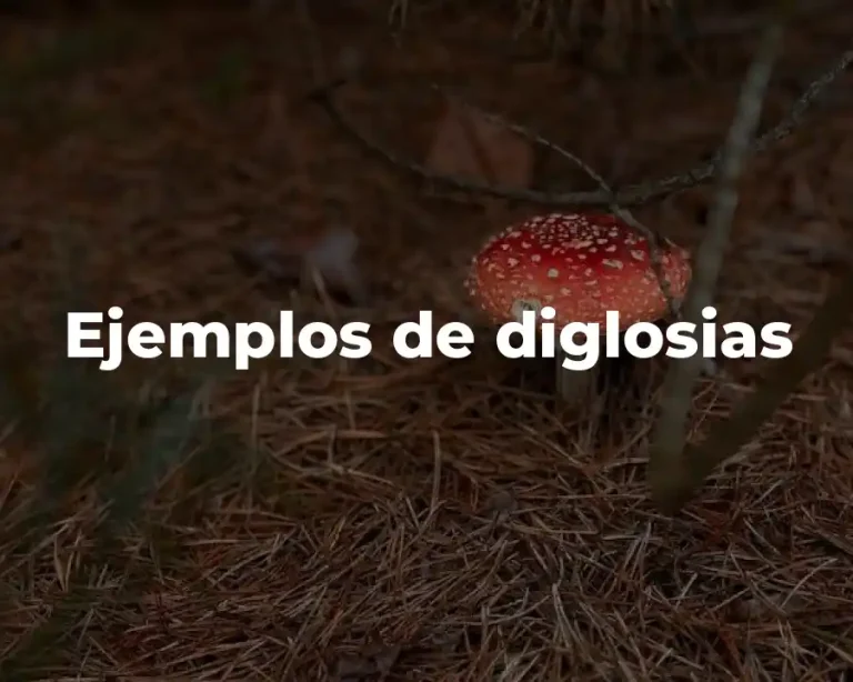 Ejemplos de diglosias